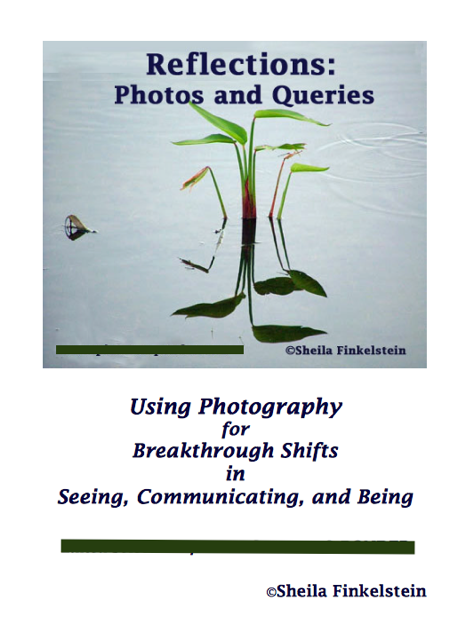 Sheila Finkelstein REFLECTIONS Report cover