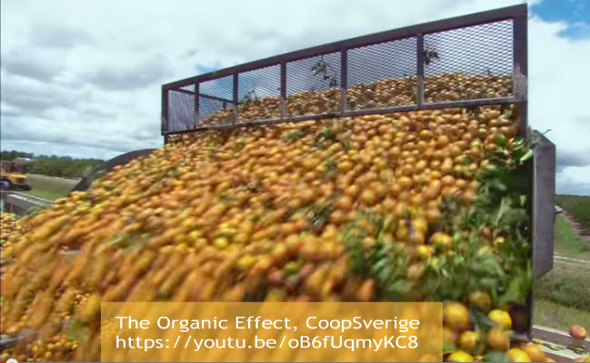 The Organic Effect