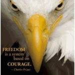 Freedom eagle image