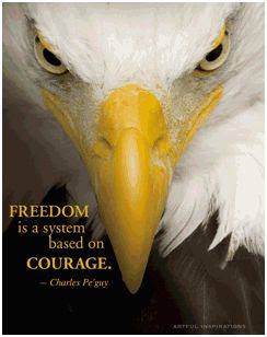Freedom eagle image